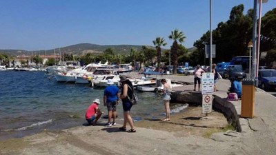 Foça’da turizmi denizanası vurdu: Plajlar boş kaldı