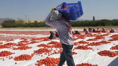 CHP'den mevsimlik tarım işçileri için 10 maddelik çözüm önerisi