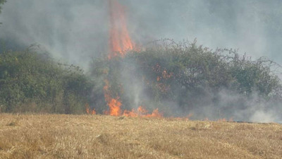 Bakan Yumaklı'dan Çanakkale yangını açıklaması