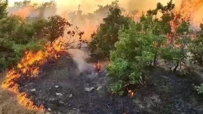 Bingöl’deki orman yangını 6 bölgeye sıçradı