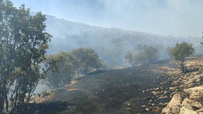 Mardin'deki yangında 25 hektar alan zarar gördü