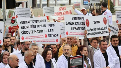 Veteriner hekimler greve çıkıyor