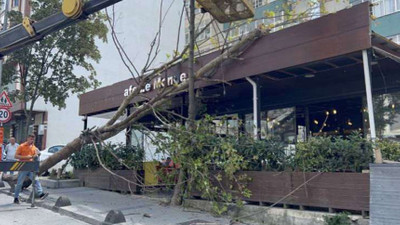 Arnavutköy'de çınar ağacı kafenin üzerine devrildi