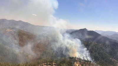 Adana'da orman yangını çıktı