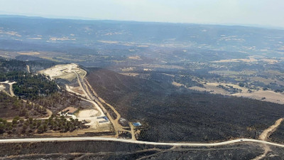 Bakan Özhaseki'den Çanakkale'deki orman yangınına ilişkin açıklama