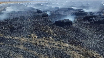 Afyonkarahisar'da 65 dekarlık tarım arazisi yangında zarar gördü