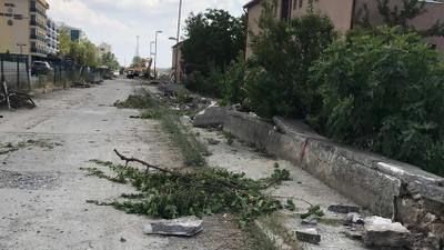 Edirne’de Devlet Demiryolları'na ait lojmanların bahçesinde çok sayıda ağaç kesildi