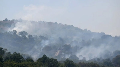 Türkiye-Bulgaristan sınırında orman yangını