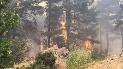 Antalya’daki orman yangınında ikinci gün: Müdahale devam ediyor