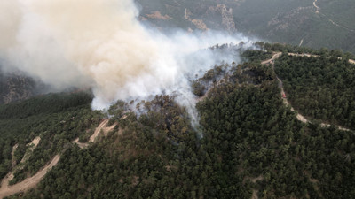 Bolu'daki yangın devam ediyor: Bir yangın daha çıktı