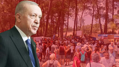 Erdoğan, 'Akbelen'i hedef aldı: Çevreci görünümlü marjinaller