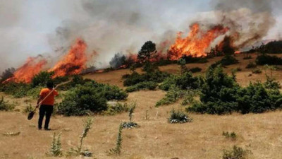 Bingöl'deki yangın 5 gündür söndürülemiyor