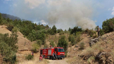 Çankırı'da orman yangını