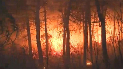 Maltepe'de orman yangını: Desteğe ihtiyacımız var