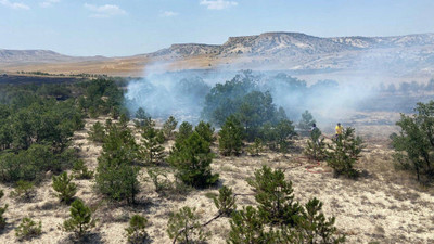 Eskişehir'de 2 saat içinde 3 noktada orman yangını