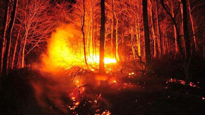 Orman yangını: 2 ölü, 12 yaralı
