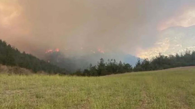 Bursa’da orman yangını: Takviye talep edildi