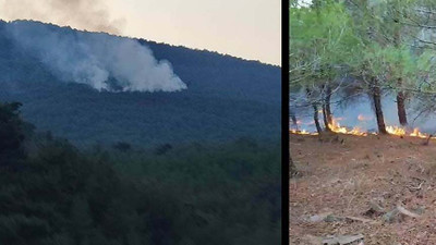 İzmir'de düşen yıldırım orman yangına neden oldu