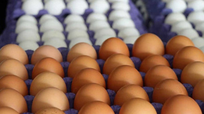 Tayvan’ın Türkiye'ye geri gönderdiği kanserojen yumurtalar ne oldu?