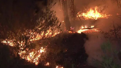 İstanbul’da orman yangını: Çok sayıda ekip sevk edildi