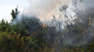 Sinop'ta orman yangını: 10 dönüm alan zarar gördü