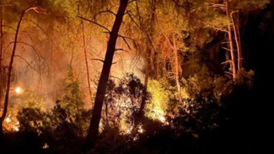 Adana İmamoğlu'nda 3 gün arayla 2'nci orman yangını