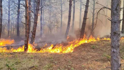 Sultanbeyli'de ormanlık alanda yangın