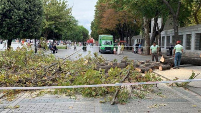 Sultanahmet Meydanı'nda ağaç devrildi: 10 kişi yaralandı