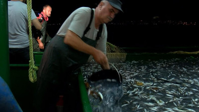 Balıkçılıkta av sezonu başladı: İşte balık fiyatları...