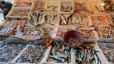 Balık fiyatları düştü: Adnan Polat'tan açıklama