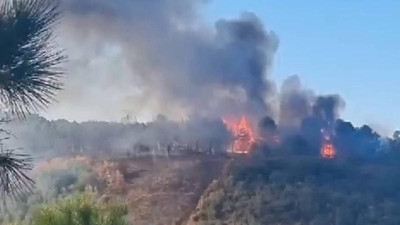 İstanbul'daki orman yangınında sabotaj şüphesi: Ellerinde bidonla çıktılar