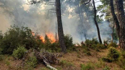 Konya'da orman yangını çıktı