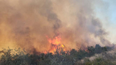 Çanakkale'deki maki yangını, ormanlık alana sıçradı