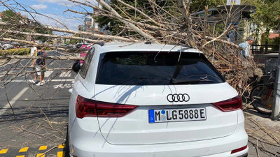 Tatile Kırklareli'ne gelen yurttaşın otomobiline ağaç devrildi
