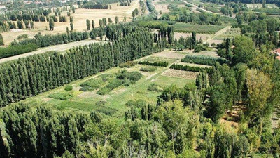 Türk-İş genel merkezini Atatürk Orman Çiftliği'nde yapmak istiyor