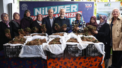 Nilüfer Belediyesi’nin desteğiyle çilek üretimi artıyor 