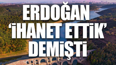 İstanbul'da 10 yılda 26 milyon ağaçlık alan talan edildi