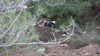 İzmir’de çöp poşetleri içerisinde köpek cesetleri bulundu
