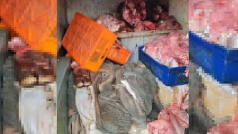 Jandarma tarafından durdurulan araçta 700 kilo kaçak sakatat ele geçirildi