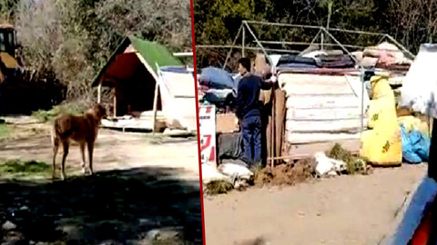 Boğaziçi Hayvan Barınma Merkezi'ne polis baskını: Gözaltılar var