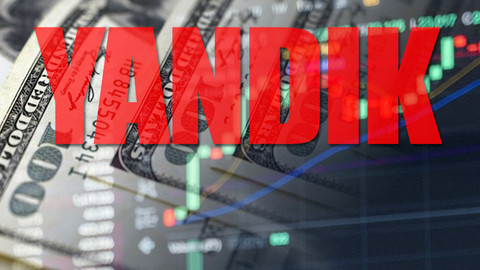 Türk lirası dolar karşısında 15 haftadır değer kaybediyor