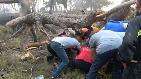 Orman yangınına müdahale eden görevlinin üzerine ağaç devrildi