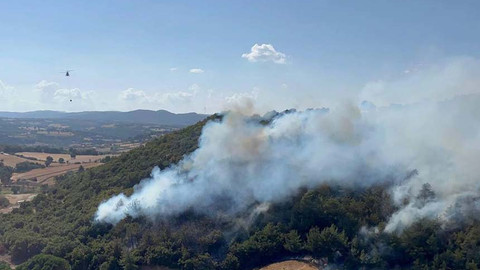 Çanakkale'de orman yangını