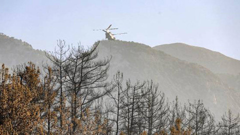 Alanya'daki orman yangını ikinci gününde kontrol altına alındı