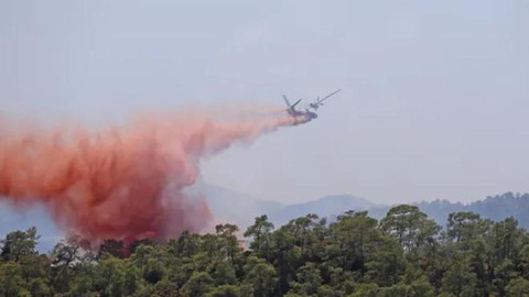 Bursa'da orman yangını