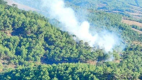 Çanakkale'de orman yangını