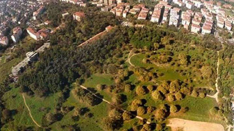 Validebağ Korusu'na yapılmak istenen 'Millet Bahçesi' projesinin iptal kararı onandı