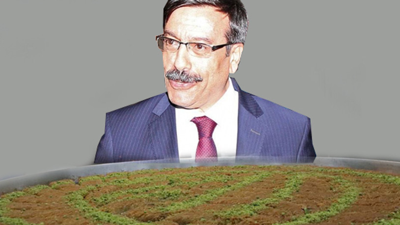 Diyarbakır'da kayyum bir buçuk ton kadayıf yemiş!