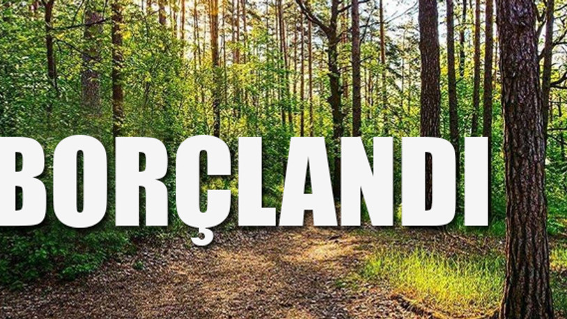 Hazinenin 1.078 futbol sahası büyüklüğündeki alanı ormana çevirmesi gerekiyor