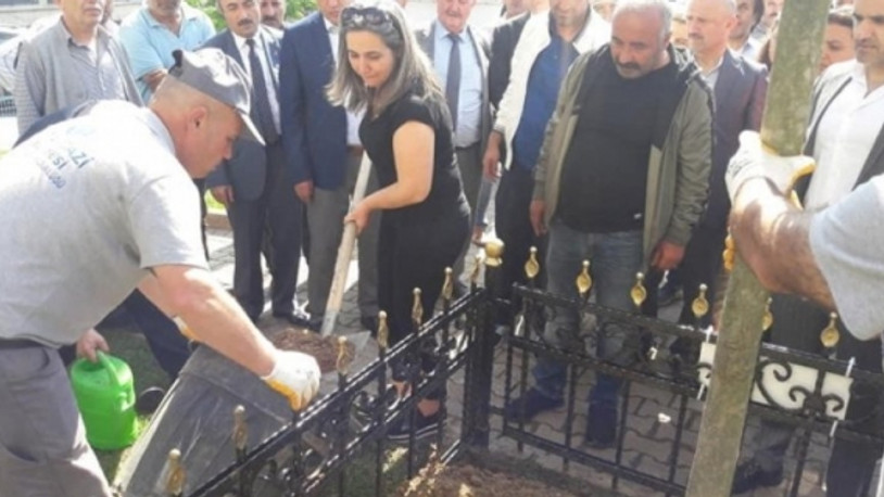 Maganda kurbanı Ahmet Emre Çavuş'un anısına 21 fidan dikildi